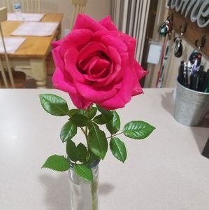 Meet your Posher, Lynn